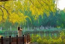 成人色视频免费-网络世界的灰色地带