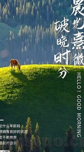 麻豆影视传媒在线-深入探索麻豆影视传媒，网络影视新篇章